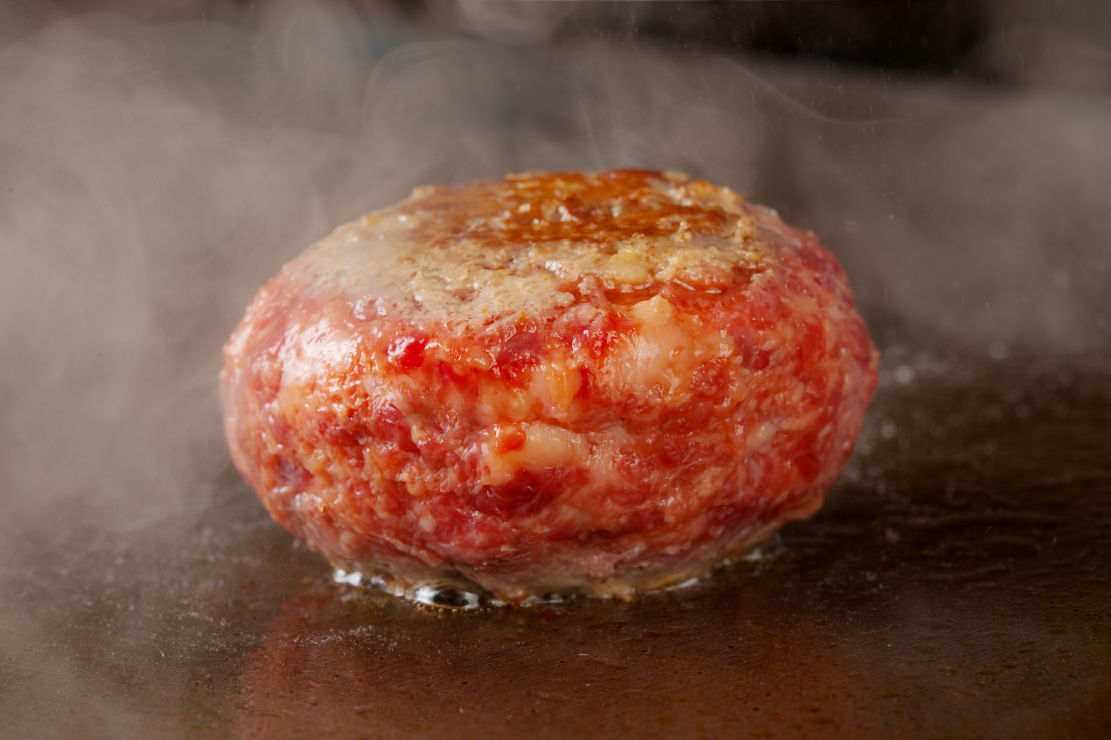 極みハンバーグステーキ