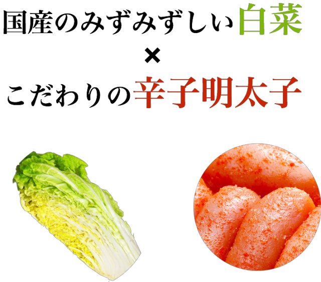 国産のみずみずしい白菜×鳴海屋の辛子明太子